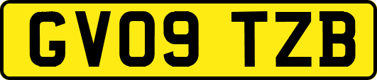 GV09TZB