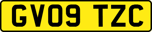GV09TZC