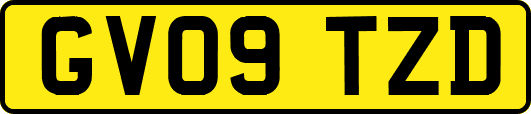 GV09TZD