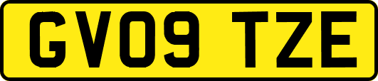 GV09TZE
