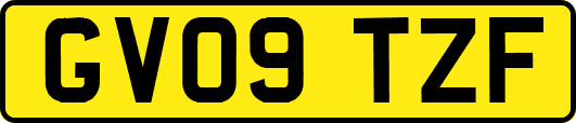 GV09TZF