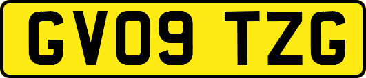 GV09TZG