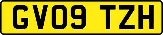 GV09TZH