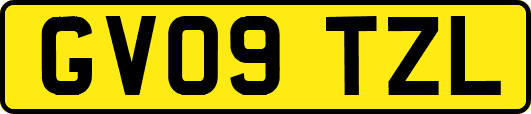 GV09TZL