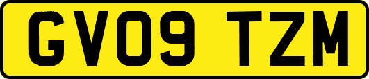 GV09TZM