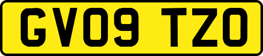 GV09TZO