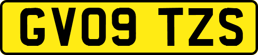 GV09TZS
