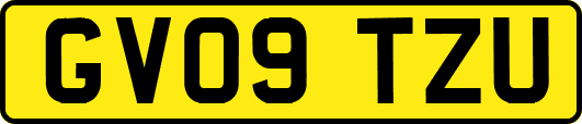 GV09TZU