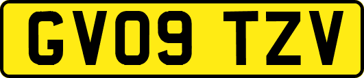 GV09TZV