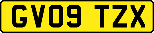 GV09TZX
