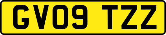 GV09TZZ