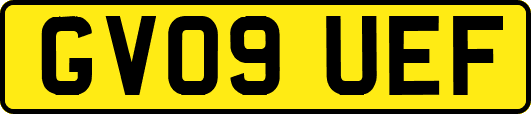 GV09UEF