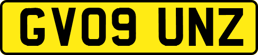 GV09UNZ