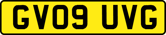 GV09UVG