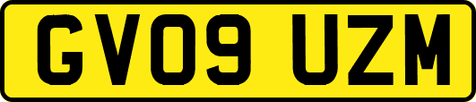 GV09UZM