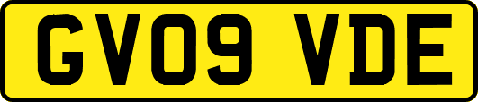 GV09VDE