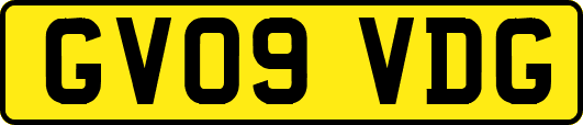 GV09VDG