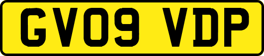 GV09VDP