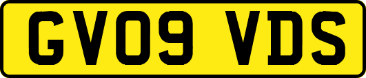 GV09VDS