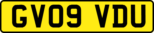 GV09VDU