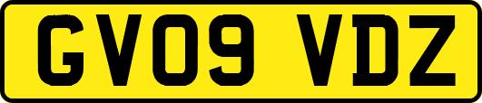 GV09VDZ