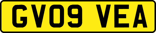 GV09VEA