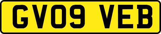 GV09VEB