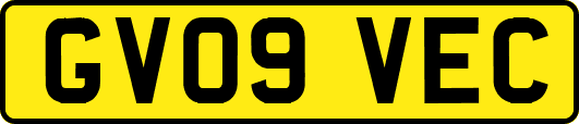 GV09VEC