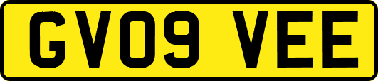 GV09VEE