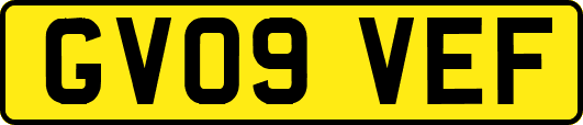 GV09VEF
