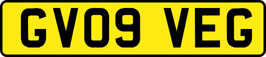 GV09VEG
