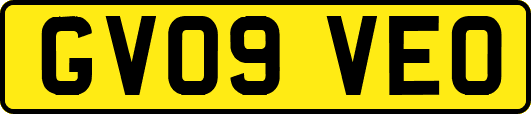 GV09VEO