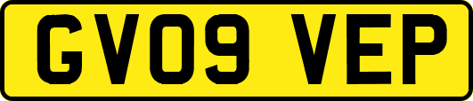 GV09VEP