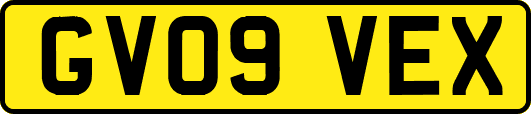GV09VEX