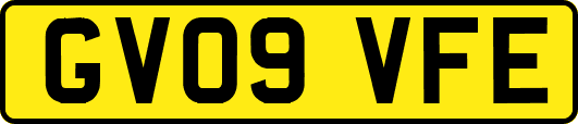 GV09VFE