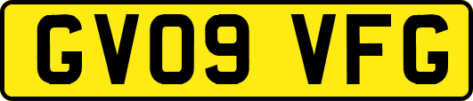 GV09VFG