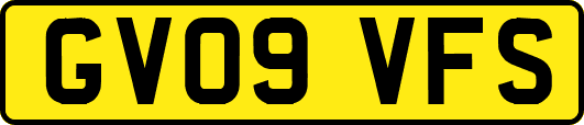 GV09VFS