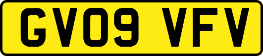 GV09VFV