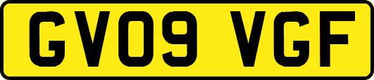 GV09VGF