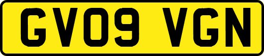GV09VGN