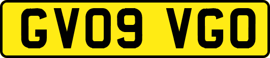 GV09VGO