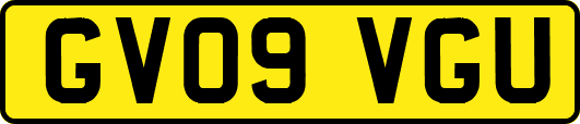 GV09VGU