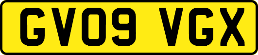 GV09VGX
