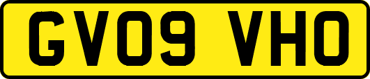 GV09VHO