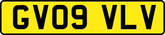GV09VLV