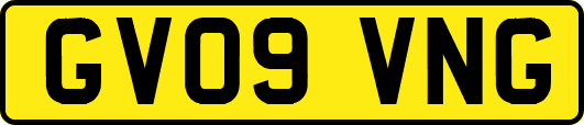 GV09VNG