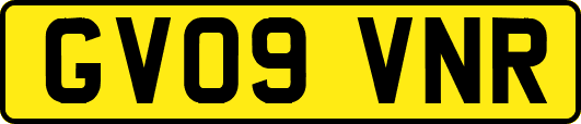 GV09VNR