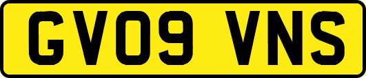 GV09VNS
