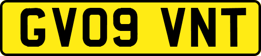 GV09VNT