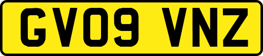 GV09VNZ